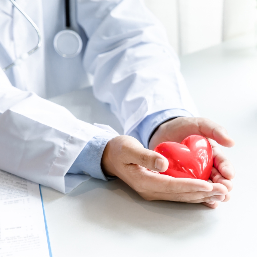 Servicios sanitarios Valencia