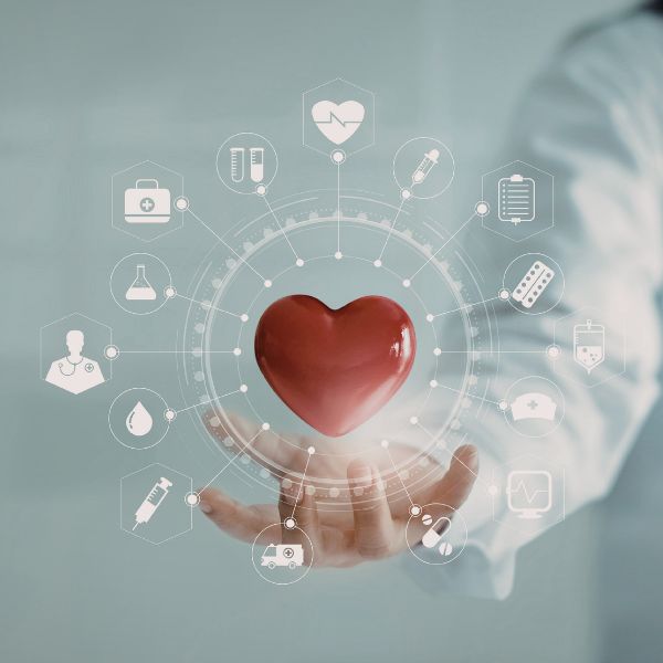 Servicios sanitarios Valencia